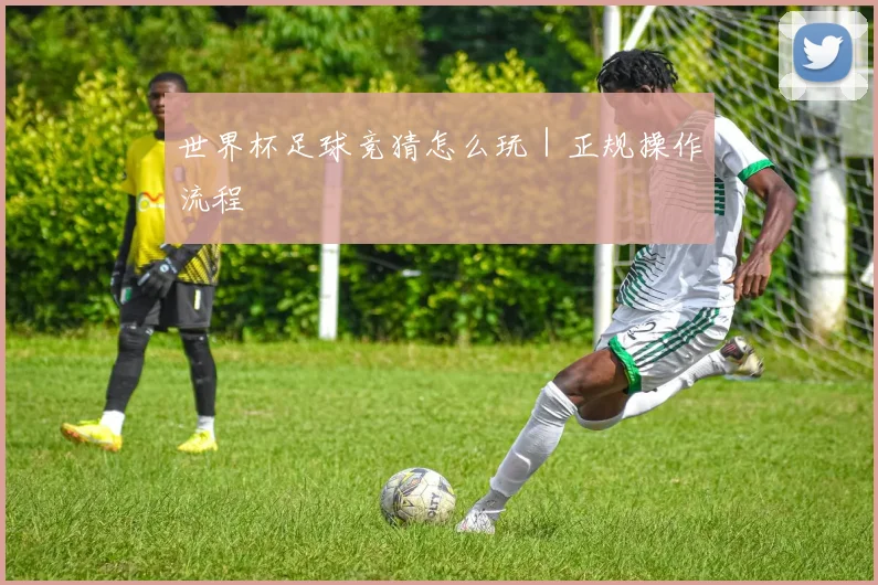 世界杯足球竞猜怎么玩｜正规操作流程