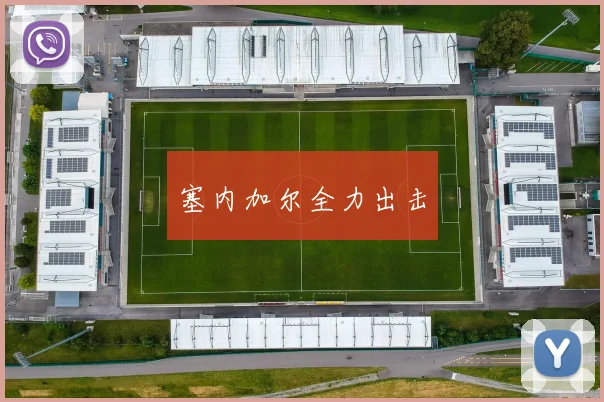 塞内加尔全力出击