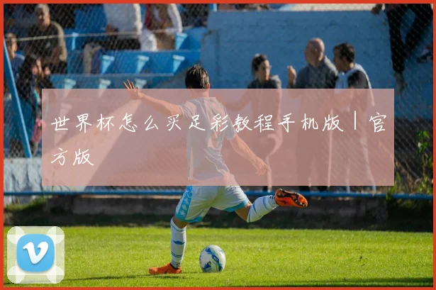 世界杯怎么买足彩教程手机版｜官方版