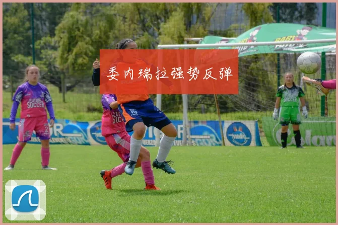 委内瑞拉强势反弹