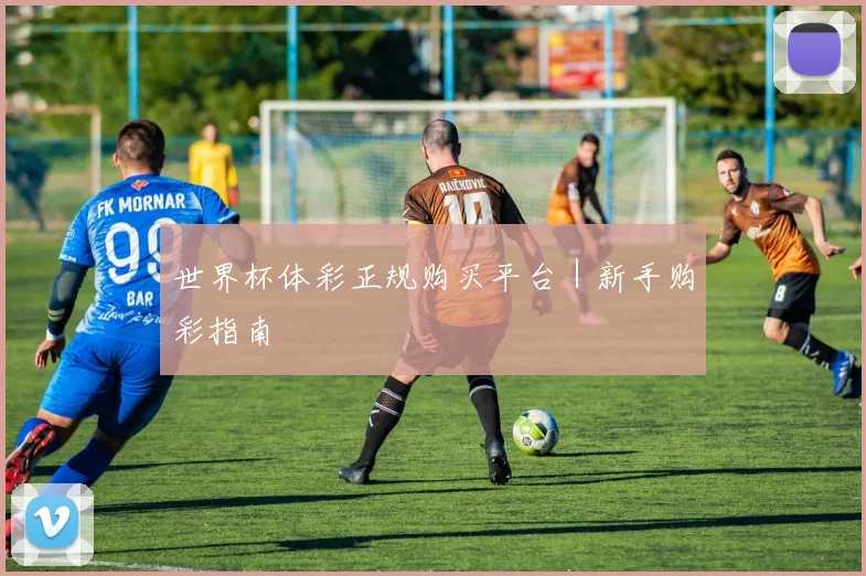 世界杯体彩正规购买平台｜新手购彩指南